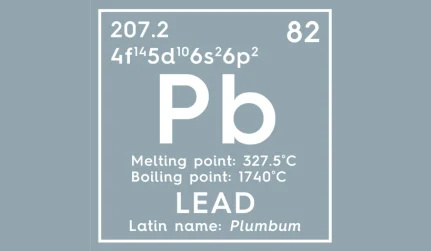 Lead Abatement Service