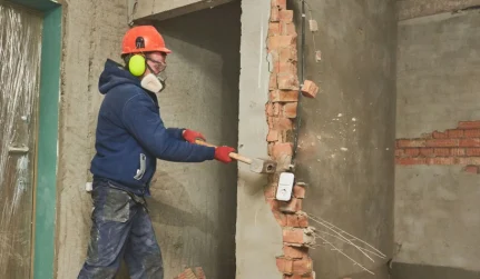 Selective Demolition